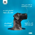 كمامة جلد وومي
