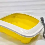 ليتر بوكس + جاروف
