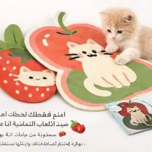 خربشة حيطة جديدة H59