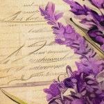 Lavender Digital Kitchen Mat 3D Print