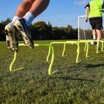 MD Stay Fit Agility Training Soccer Hurdles Speed Vision Endurance for Track and Field Fences for Indoor Outdoor Sports Training, Plastic