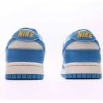 Nike Dunk Low Coast