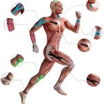 M D Stay Fit MD Cotton Elastic Muscle Tape 5M - Multi Color