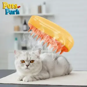 فرشاة بخار