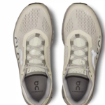 On Running Cloudmonster Ice/Alloy