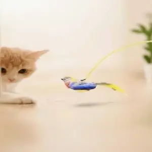 لعبه عصفور بحبل