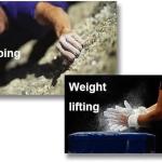 MAXIMISE YOUR POWER GRIP WITH MD STAY FIT Malaysian Cube Weight Lifting Sports Chalk Powder Blocks Anti-Slip Gymnastics Climbing Fitness Training (1 Piece), White