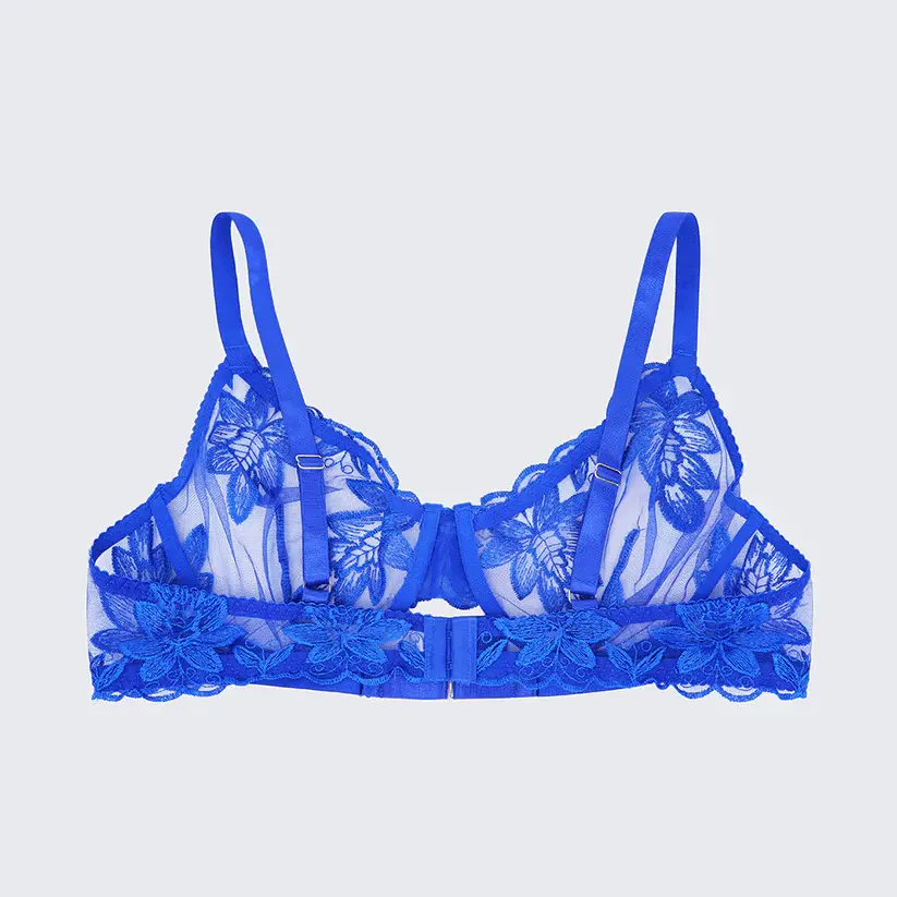 Sexy Sheer Lace Embroidered See Through Bra Panty Set
