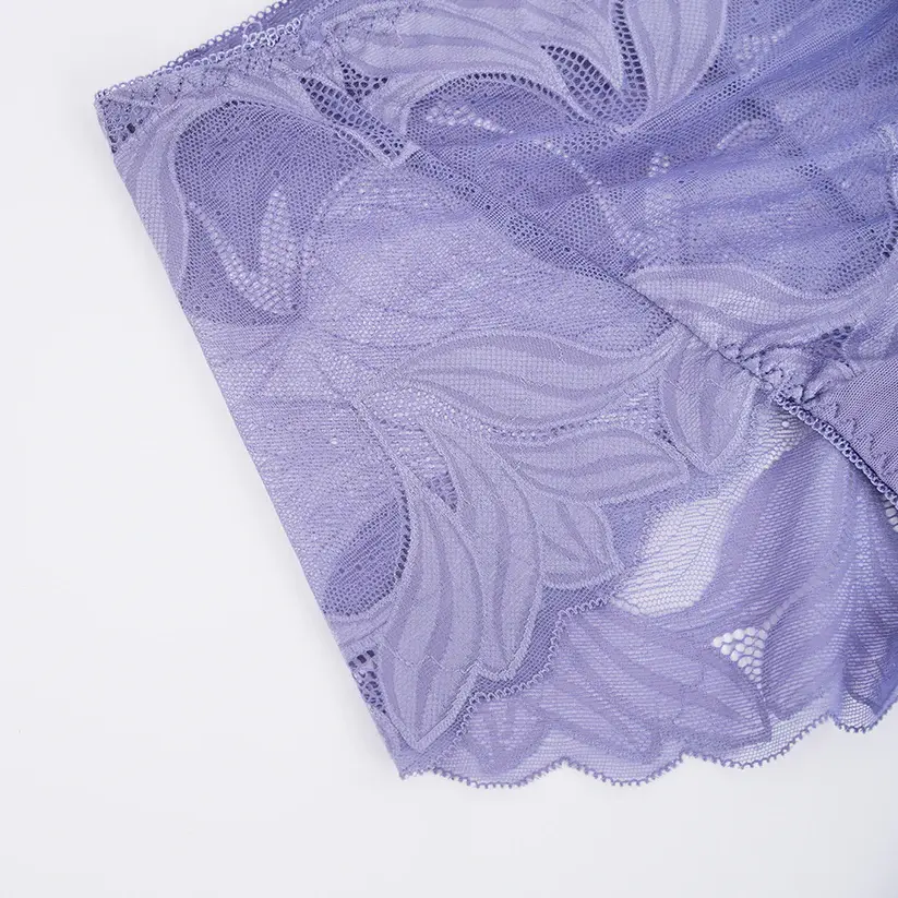 Plus Size Women's Lace See-through Panty