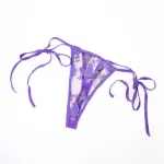 Plus Size Lace Sheer Bra Panty Set