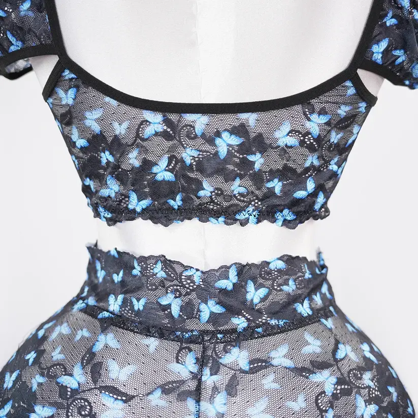 Blue Butterfly Print Sheer Black Mesh Bra Panty Set