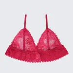 Plus Size Sexy Sheer Lace Mesh Bra Panty Set