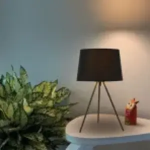 Modern Table Lamp TA350