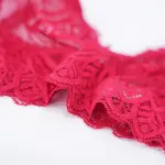 Plus Size Sexy Sheer Lace Mesh Bra Panty Set