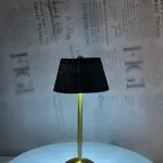 NOIR Pleated Brass Lam