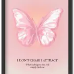 I Don't Chase I Attract