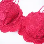 Plus Size Lace Embroidered Floral Bra