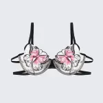 Butterfly Sheer Embroidered Mesh Bra Panty Set
