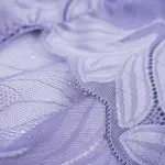 Plus Size Women's Lace See-through Panty