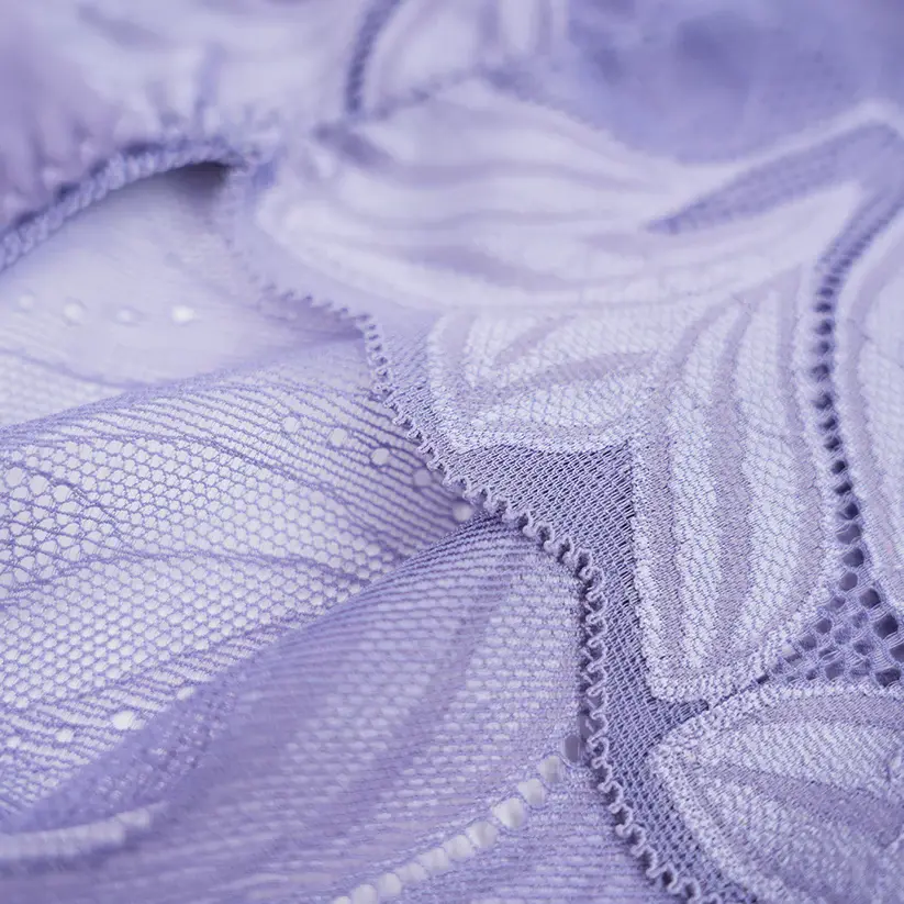 Plus Size Women's Lace See-through Panty