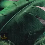 Up Kids Digital Carpet