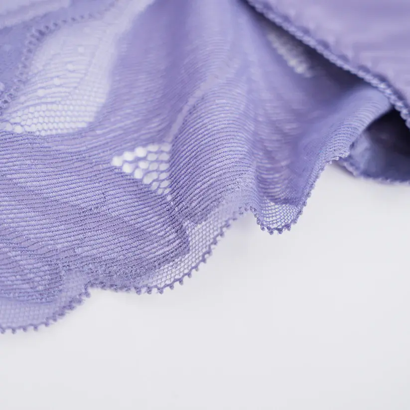 Plus Size Women's Lace See-through Panty