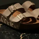 Dune Slide