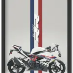 BMW G310 RR