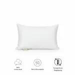 Agha Home Balance Pillow
