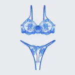 Breathable Skin-Friendly Embroidered Bra Thong Set