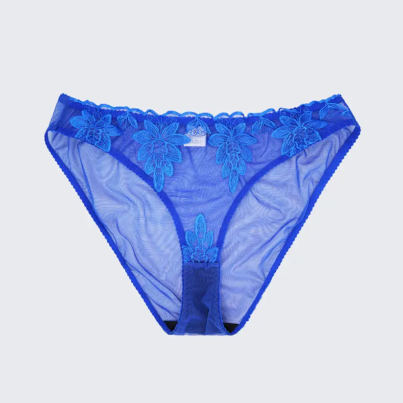 Sexy Sheer Lace Embroidered See Through Bra Panty Set