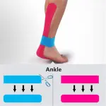 M D Stay Fit MD Cotton Elastic Muscle Tape 5M - Multi Color