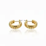 Textured Hoop Stainless Steel Earrings EA-202