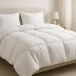 Cozy Minimalist Microfiber Duvet