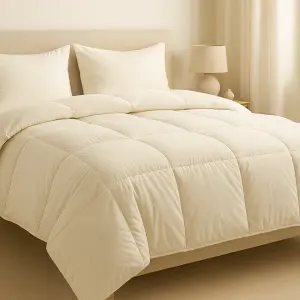 Cozy Minimalist Microfiber Duvet