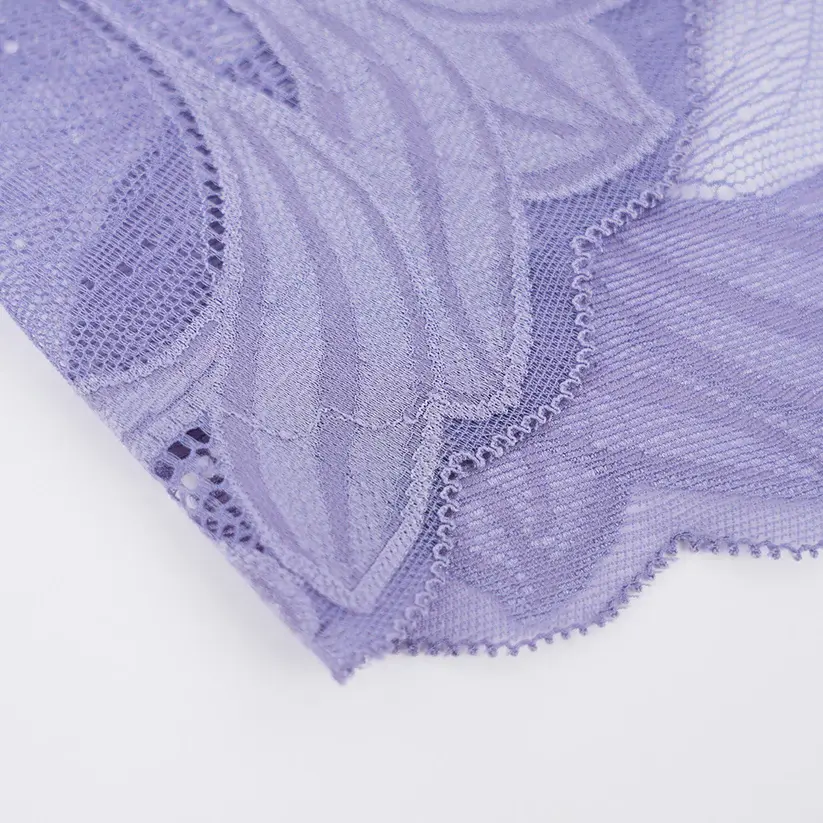 Plus Size Women's Lace See-through Panty