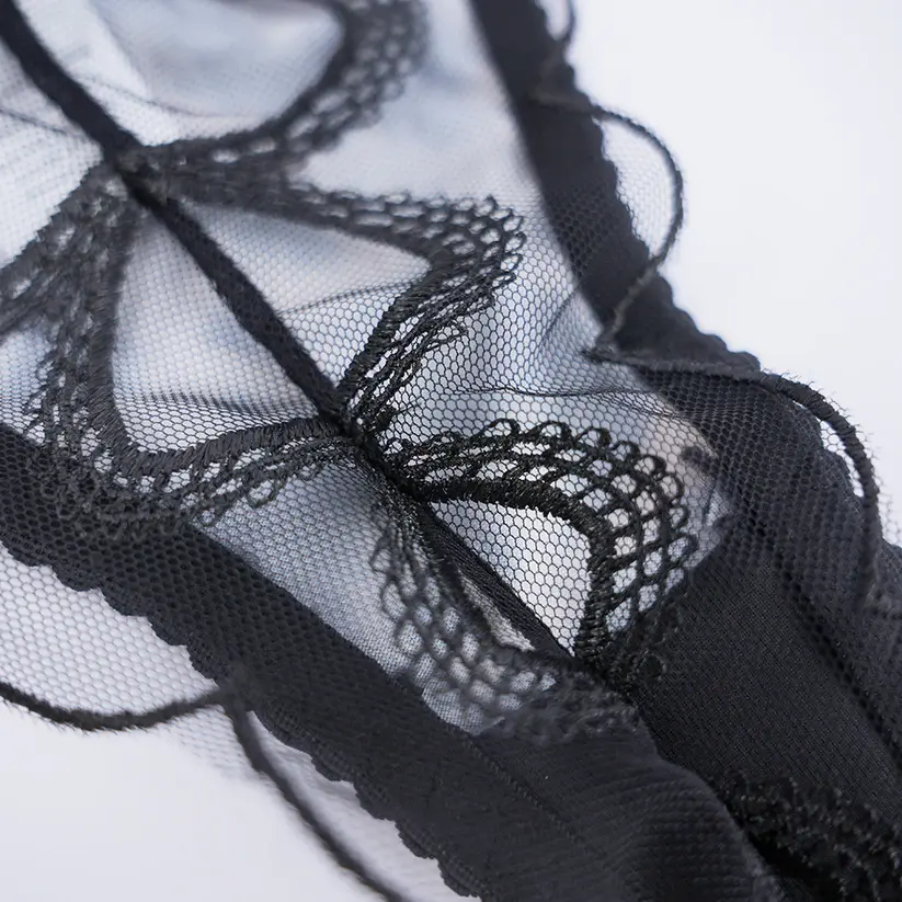 Velvet Lace Trim Sexy Plush See Through Push Up Bra Panty Set
