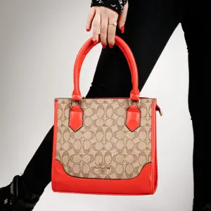 LEATHER HAND BAG COACH BG-4