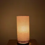 Modern Table Lamp TLM30