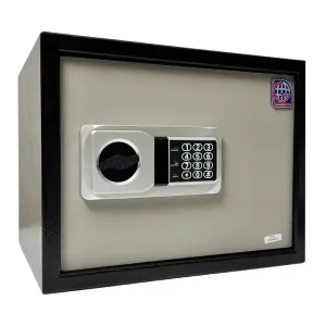 LG Safe - 30 NEK GRAY