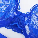 Sexy Sheer Lace Embroidered See Through Bra Panty Set