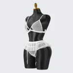 White Lace Embroidery Lingerie Erotic Bra Panty Set
