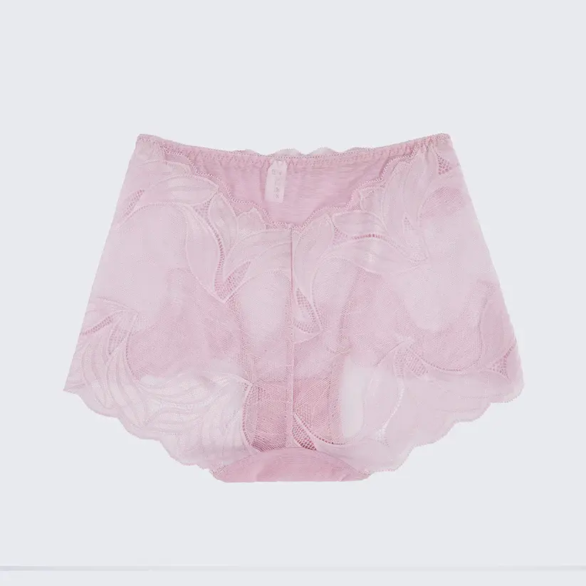 Plus Size Women's Lace See-through Panty