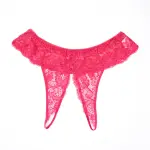 Plus Size Red Lace Bra Panty Set