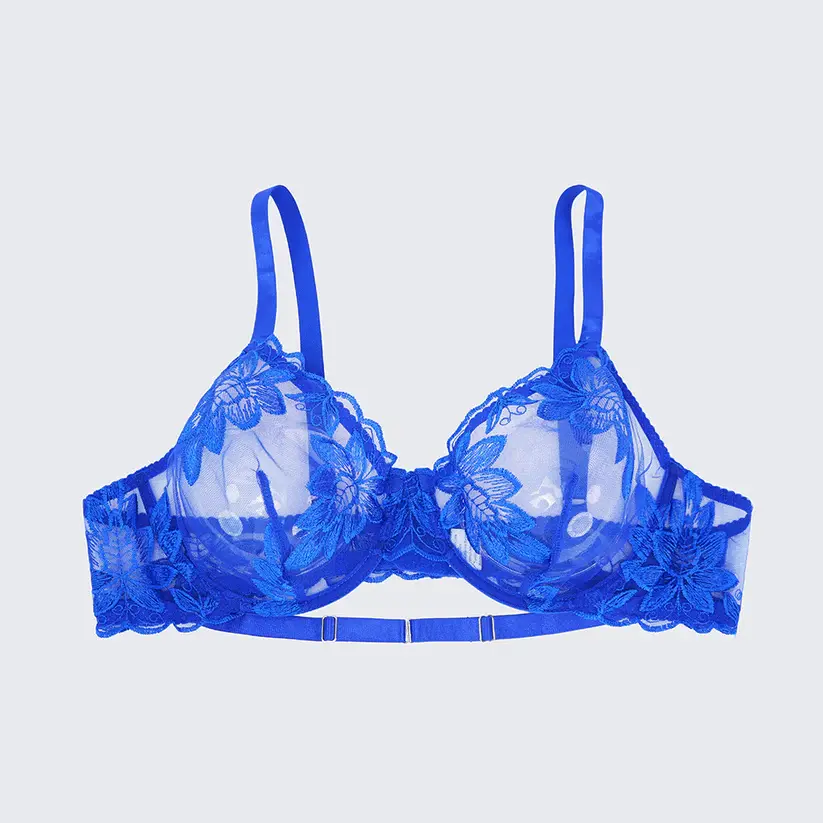 Sexy Sheer Lace Embroidered See Through Bra Panty Set