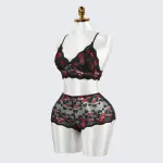 Black Lace Embroidery Sexy Bra Panty Set