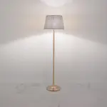 Modern Floor LampFL17