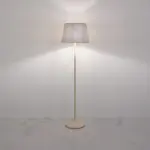 Modern Floor Lamp FL29