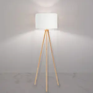 Modern Floor Lamp