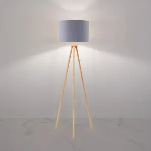 Modern Floor Lamp